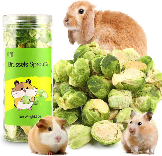 Abizoo Freeze Dried Brussels Sprouts Rabbit and Hamster Chew Treats Resealable Jar for Hamsters Bunny Guinea Pigs Groundhogs Natural Fiber Vitamin Snacks