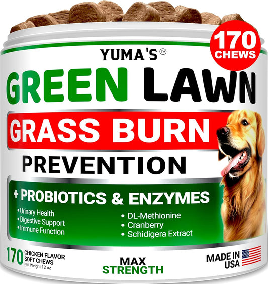 YUMA'S Dog Urine Neutralizer for Lawn - 170 Chews - Advanced Grass Green Savers for Dog Urine - Canine Pee Grass Neutralizer Supplement - Green Lawn Treats with Probiotics and Digestive Enzymes