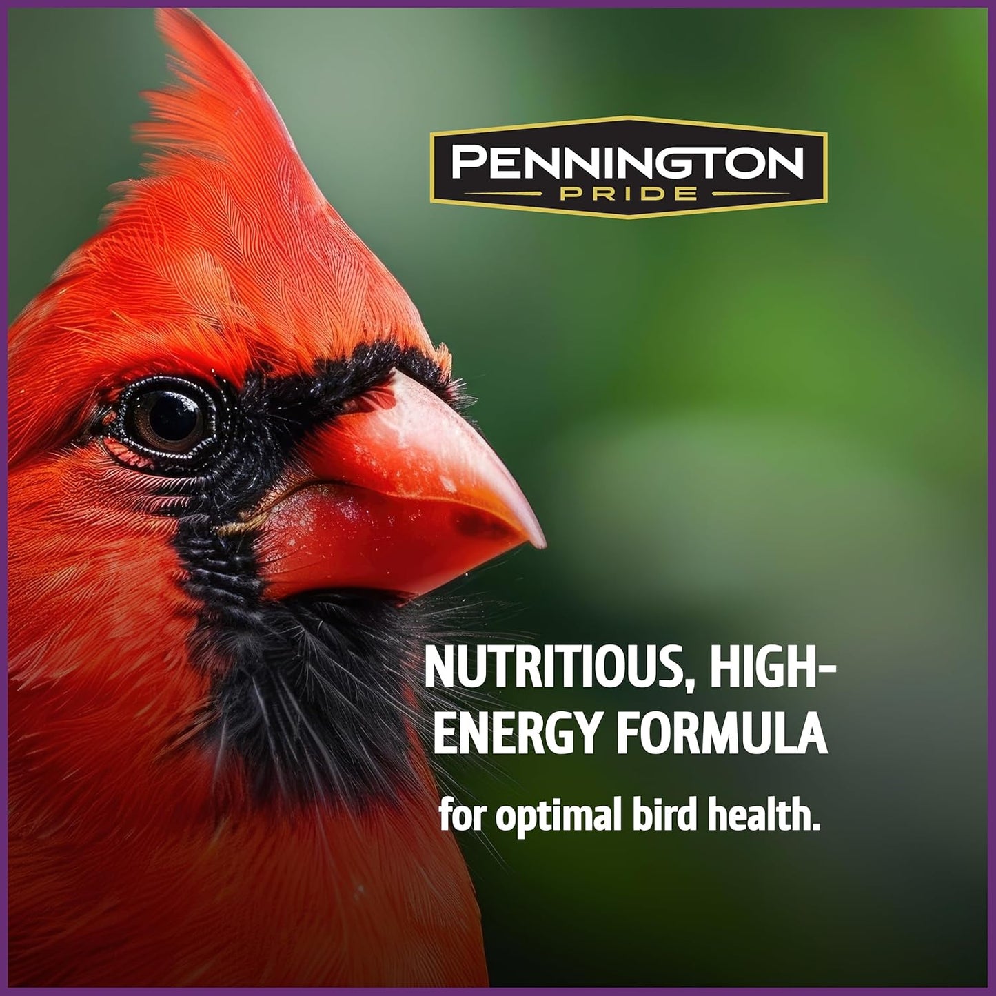 Pennington Pride Songbird Nut & Fruit Blend, Wild Bird Seed for Outside Feeders, Advanced Nutrition Formula for Bird Health, 10-lb. Bag