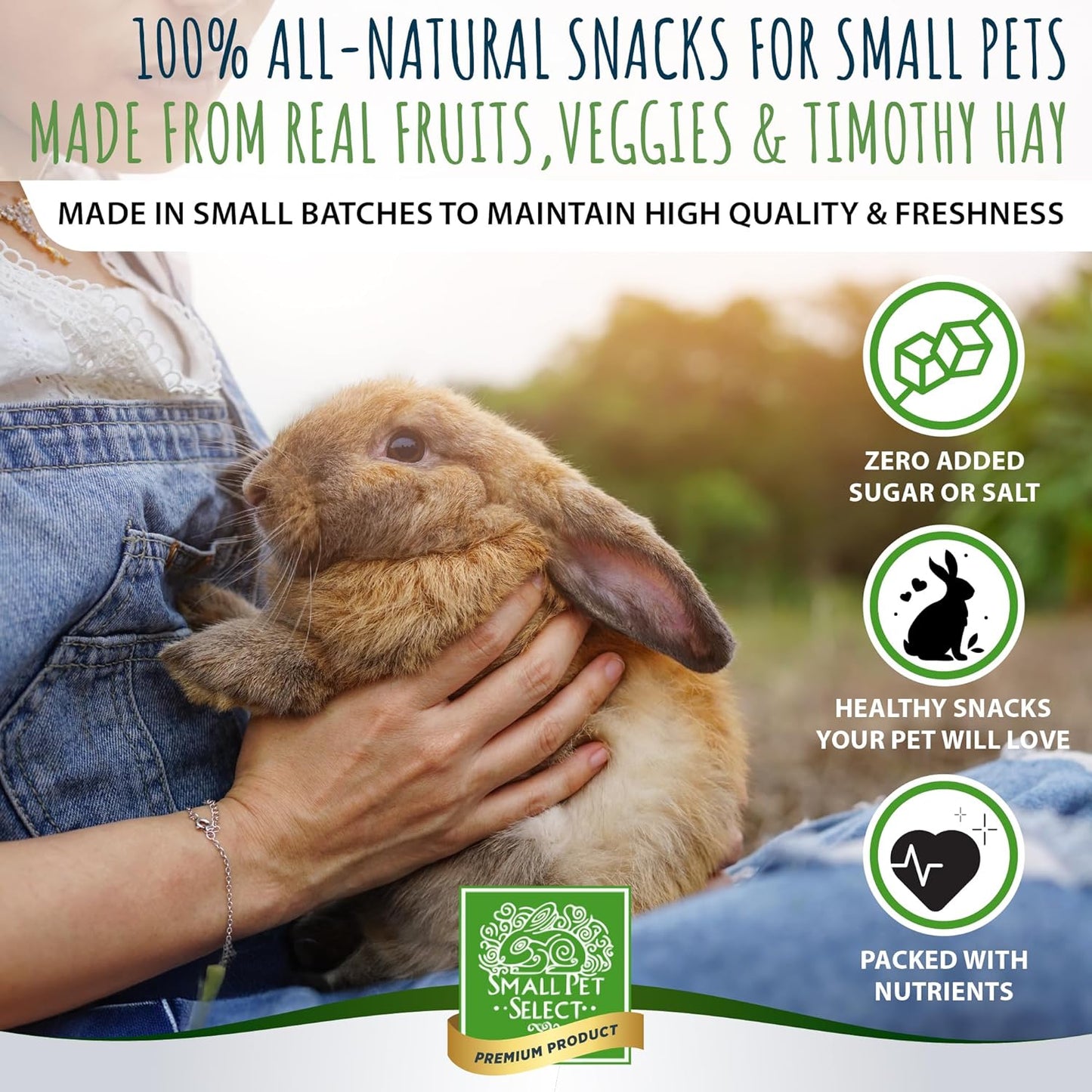 Small Pet Select - Healthy Snackers - Apple