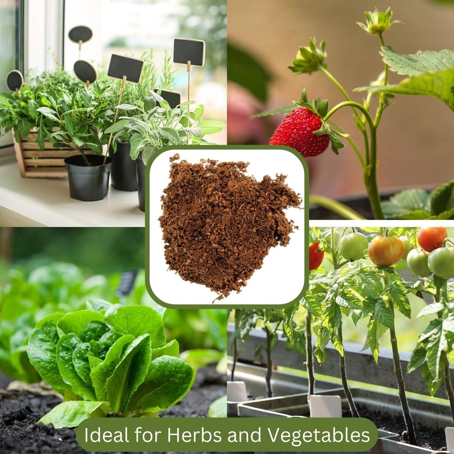 Loose Coconut Coir Mix (8 Quarts), Coconut Coir for Home Gardening - All Natural Soil additive - pH Balanced and Double Washed Coco Peat