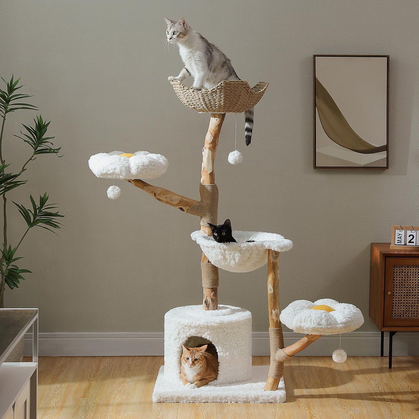 PAWZ Road Cat Tree for Indoor Cats Large Adults, 59 Inches Modern Cat Tower with Large Basket and Hammock, Natural Solid Wood, Luxury Condo & Dual Perches, Modern Cat Furniture for Big Cats, White