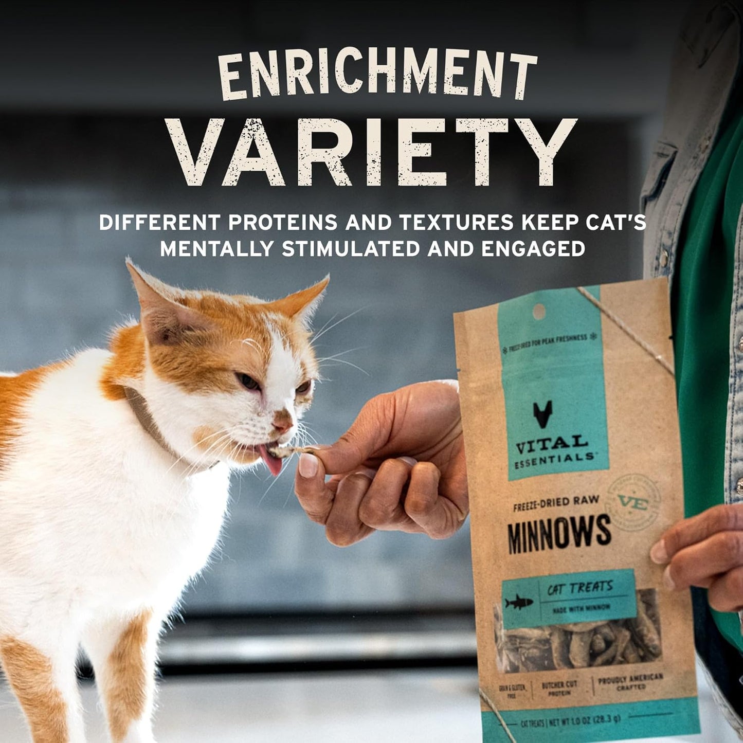 Vital Essentials Chicken Giblets Cat Treats, 1 oz | Freeze-Dried Raw | Single Protein | Grain Free, Gluten Free, Filler Free