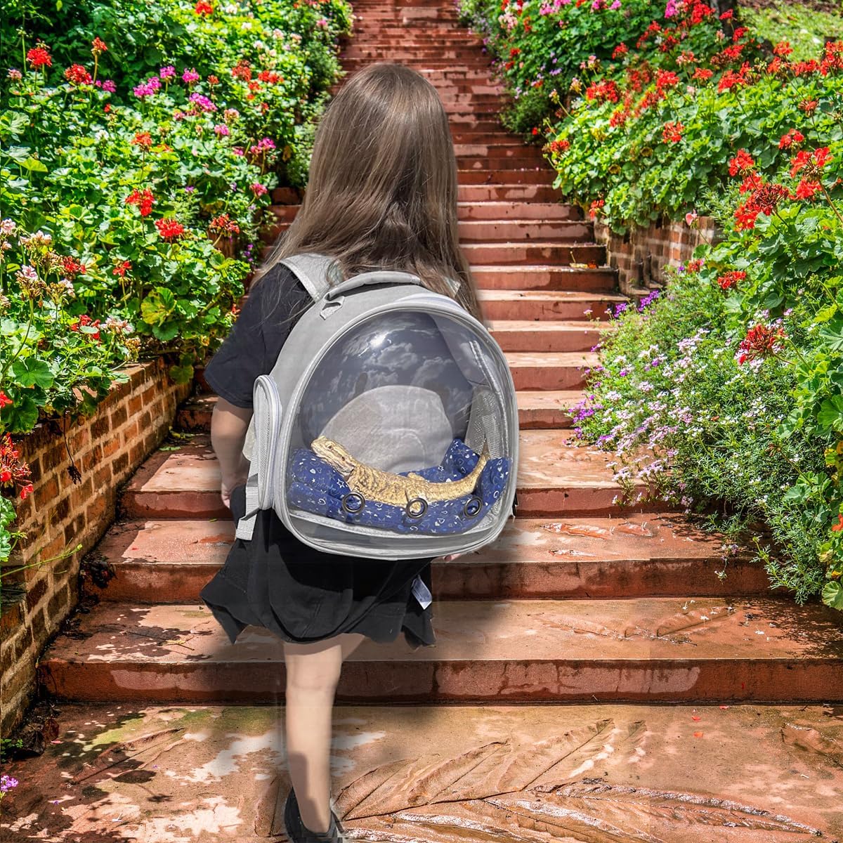 Leopard Gecko Travel Carrier,Bearded Dragon Travel Backpack with Harness and Leash Set,Space Capsule Clear Bubble Window Astronaut Reptile Carrier Backpack, Airline Approved