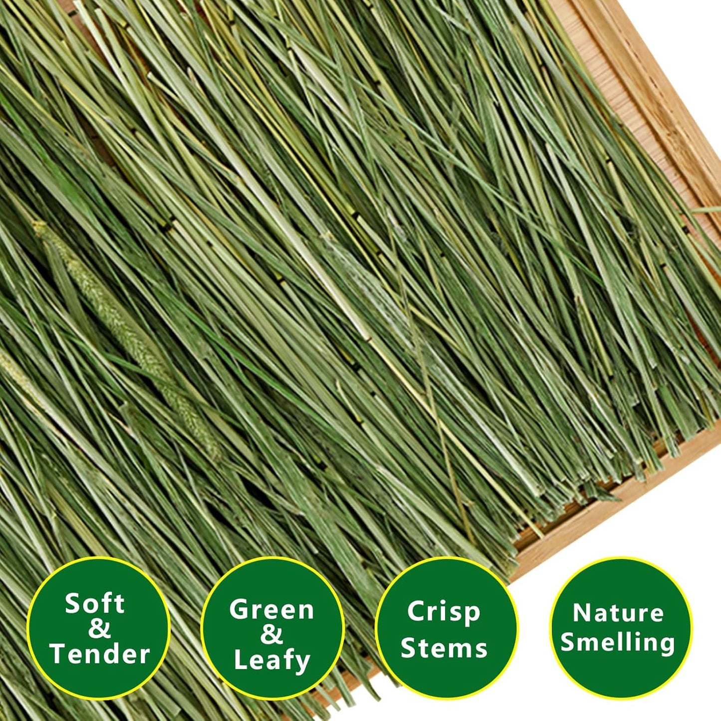 Timothy Hay 1.1LB - Dust Free Natural Green Fresh Food Hay for Rabbits Tortoise Guinea Pig Chinchilla
