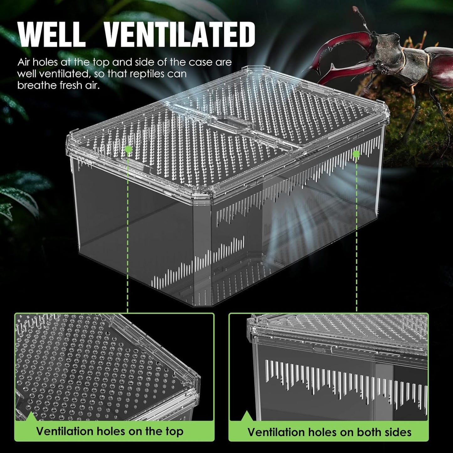Breathable and Secure Reptile Tank with high Transparency - Ideal Container House for Hermit Crab, Tarantula Enclosure, Cricket Habitat or Jumping Spider Habitat (S)