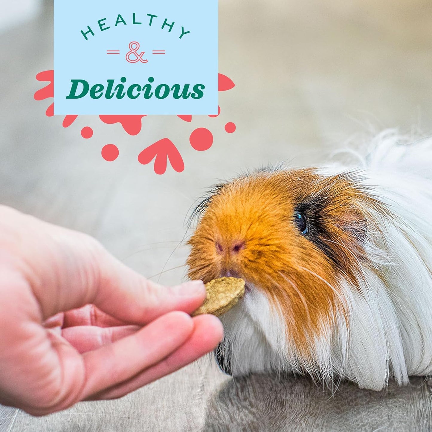 Oxbow Animal Health Natural Science Skin & Coat Support, Supplement for Rabbit & Guinea Pig, Made with Oxbow Timothy Hay, Includes Palm Oil & Omega 3 & 6 Fatty Acids, Made in USA, 4.2 oz Bag