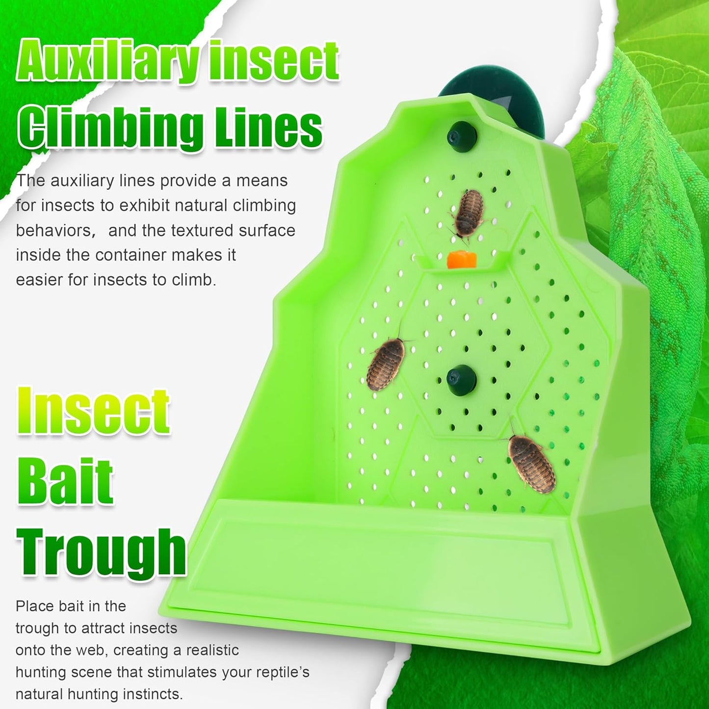 Reptile Anti-Escape Feeding Bowl, Wall-Mounted Feeder for Reptile, Stimulate Hunting Accessories for Terrarium, Vivarium and Paludarium, Suitable for Lizard, Gecko & Frog, Large