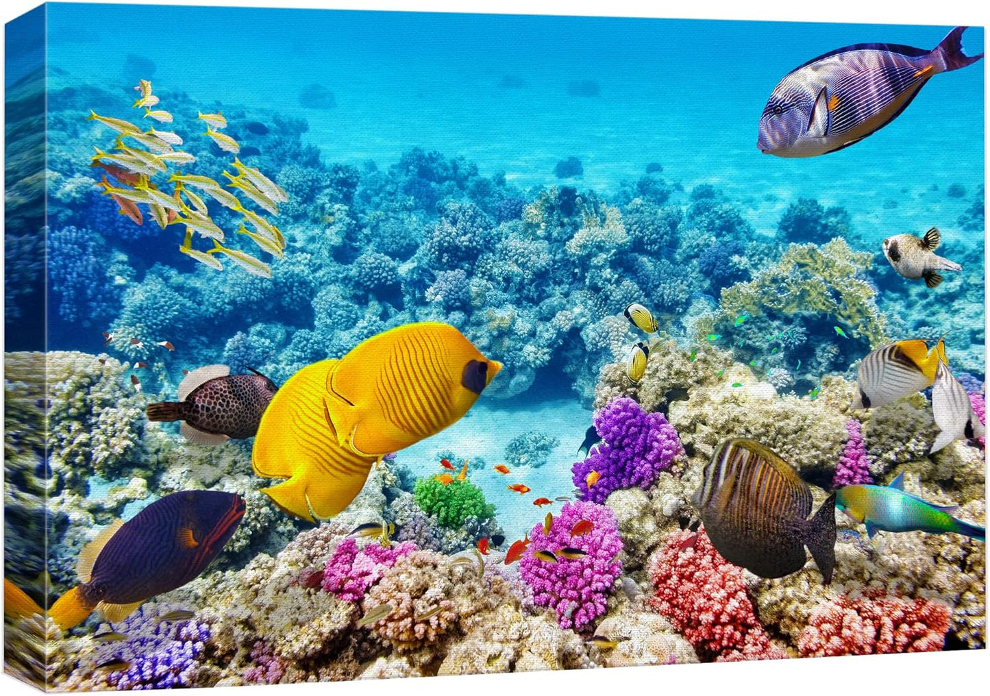 wall26 Canvas Print Wall Art Vibrant Teal Underwater Fish Coral Reef Nature Animals Photography Realism Rustic Scenic Landscape Wilderness Earth Colorful for Living Room, Bedroom, Office - 12"x18"