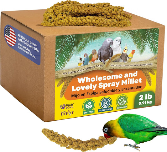 Birds LOVE Wholesome & Lovely Spray Millet Non-GMO for Birds Cockatiel Lovebird Parakeet Finch Canary All Parrots Healthy Treat - 2LBS