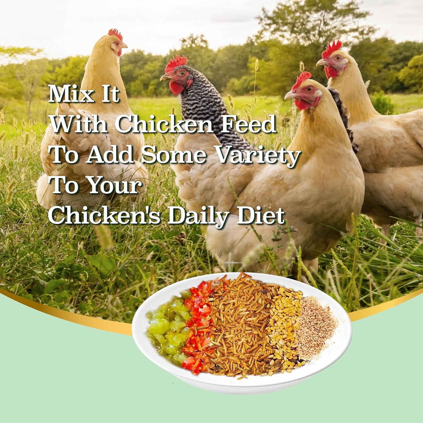 5LB Dried Black Soldier Fly Larvae, More Calcium Than Dried Mealworms, High Protein Chicken Feed,Duck Food, BSFL, Poultry Treats