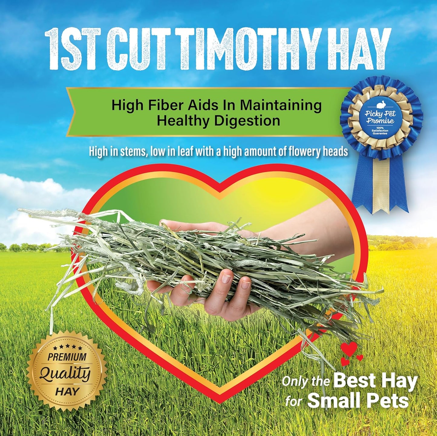 Small Pet Select 1st Cutting Timothy Hay, Animal Food for Guinea Pig, Rabbit, Hamster, Bunny, or Chinchilla, Natural Hay Grown in the USA, 20lb